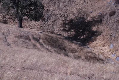 DSC_2179 (Large).JPG